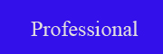 Professional-button